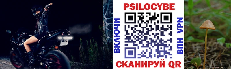 Галлюциногенные грибы прущие грибы  Малая Вишера 